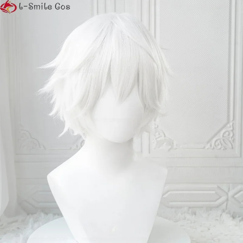 Cosplay Anime Killua Zoldyck - xiaoxiao Anime Killua Zoldyck Cosplay Perruque